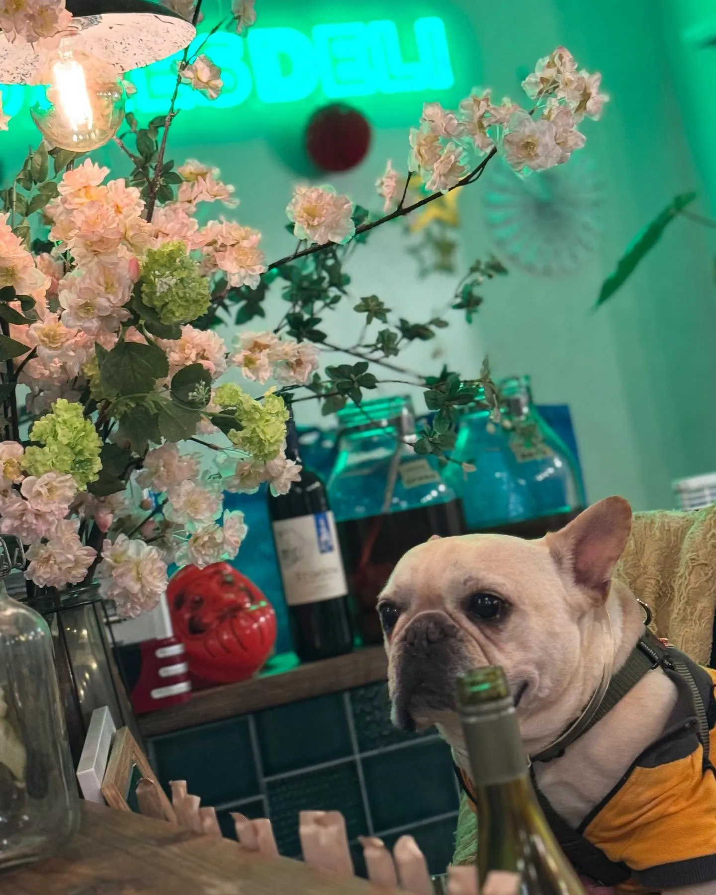 昨夜開催したお客様主催の持ち込み企画、当店初開催の「浦安日本...