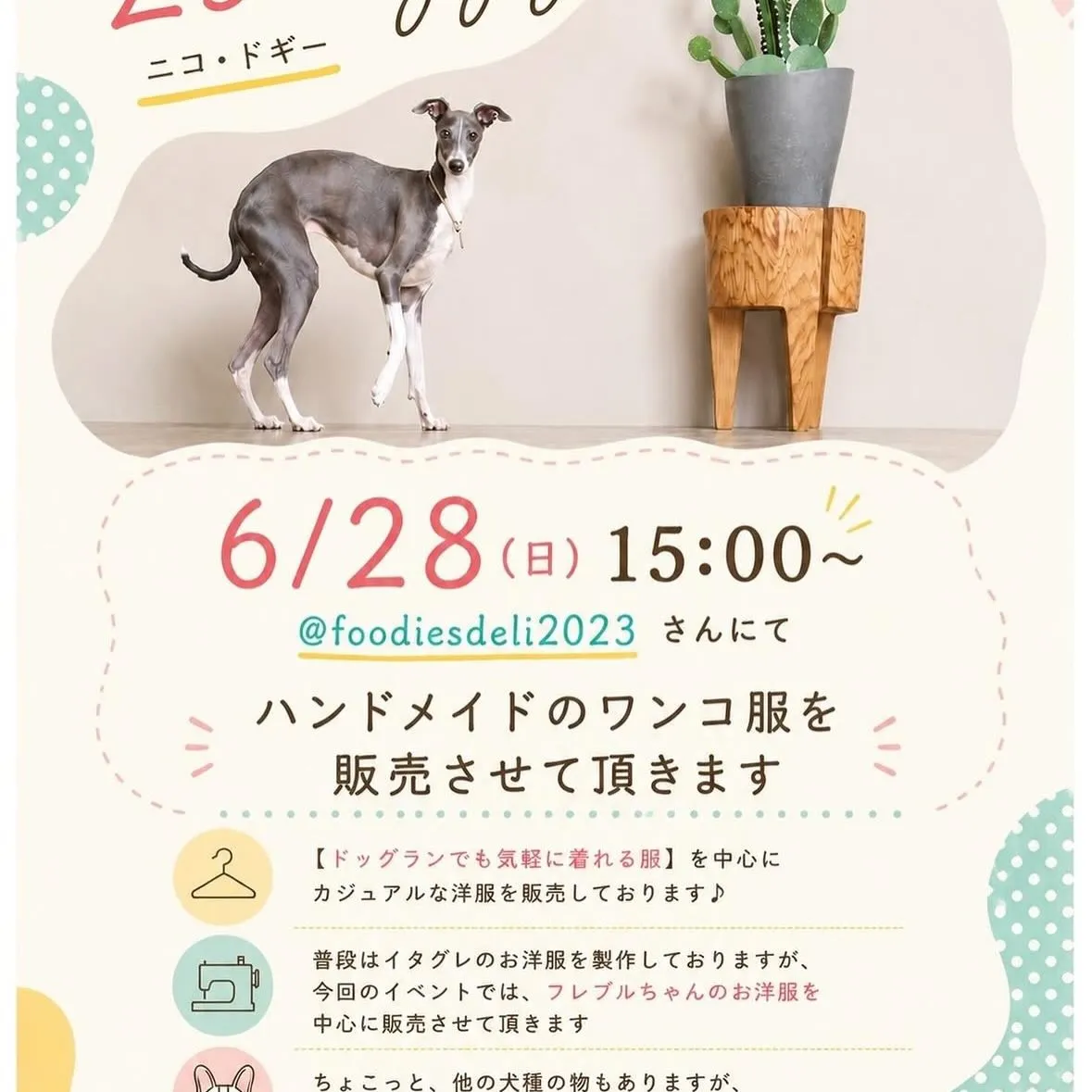 こんにちは！