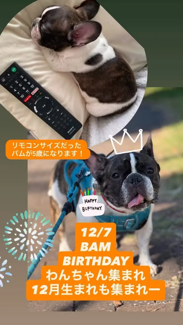 🩷お知らせ🩷